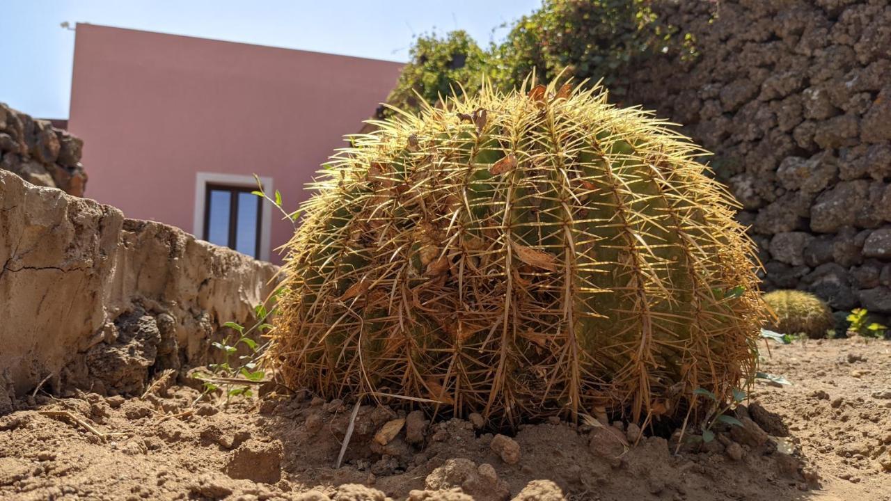 Horizon Pantelleria Bed & Breakfast Campobello Екстериор снимка
