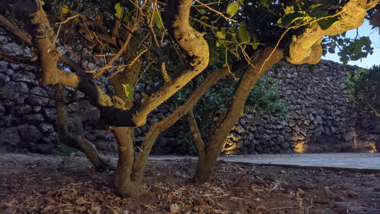 Horizon Pantelleria Bed & Breakfast Campobello Екстериор снимка