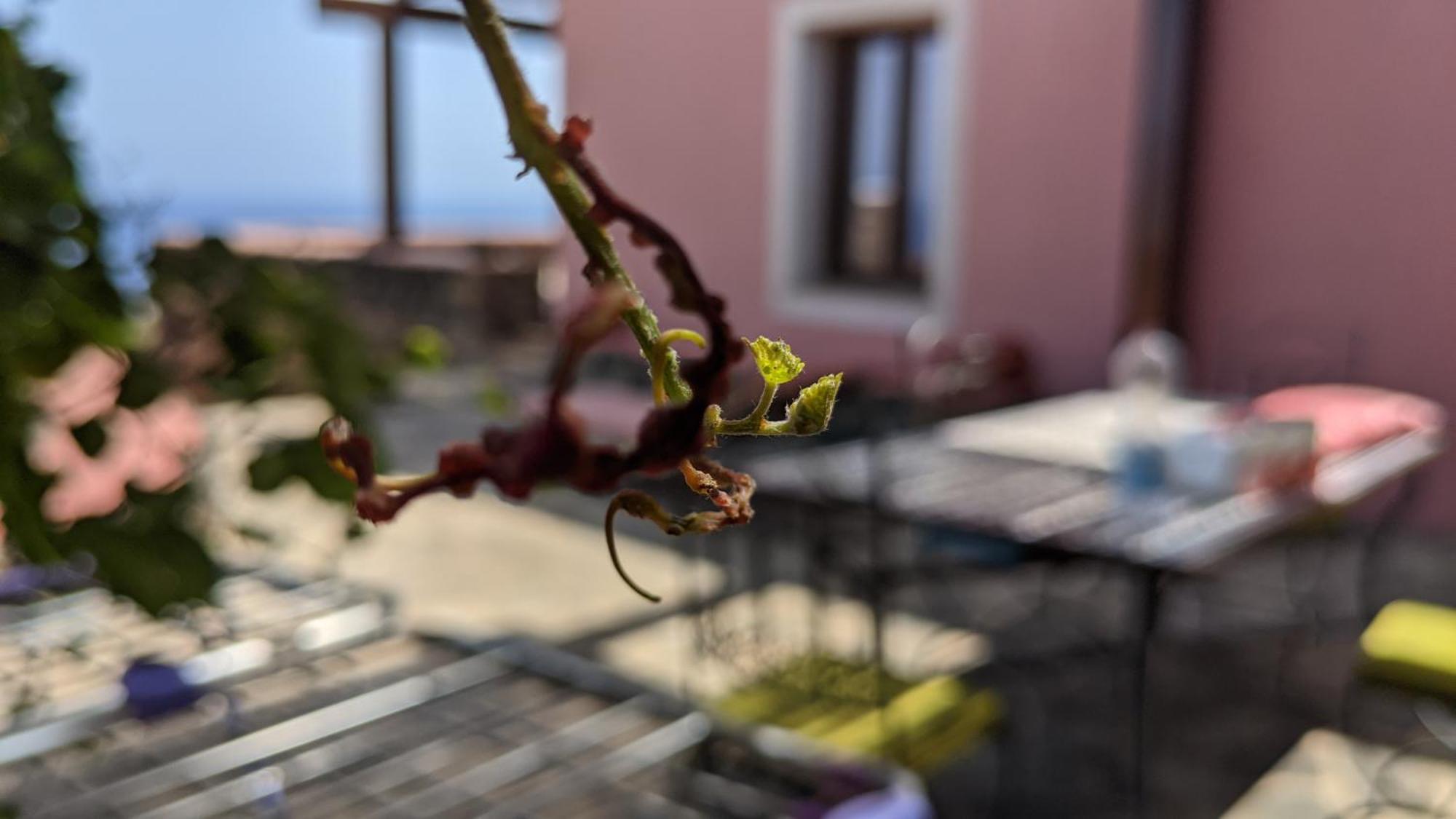 Horizon Pantelleria Bed & Breakfast Campobello Екстериор снимка